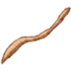 Earthworm (Common)