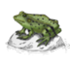 Frog (Green)