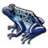 Frog (Blue Poison Dart)