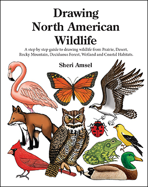 Drawing North American Wildlife Book