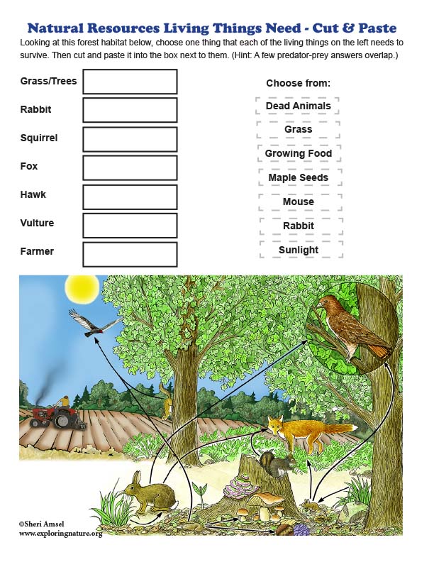 Kindergarten - Natural Resources That Living Things Need - Downloadable ...