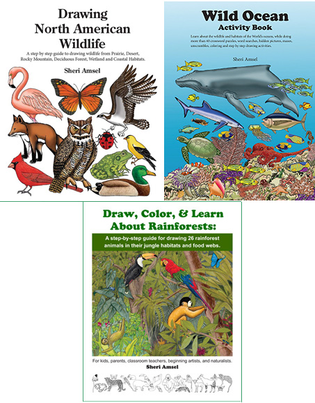 Habitats and Animal Habitats Flip Books - Science Reading Activities