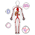 Anatomy (Human Body) Activities