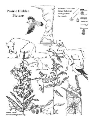 Prairie Hidden Picture - Downloadable