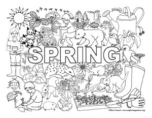 Spring Things - Coloring Page