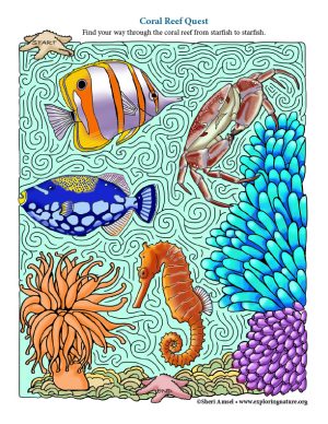 Coral Reef Quest - Maze (downloadable sheet)