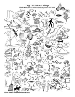 100 Summer Things to Find (Black and White)