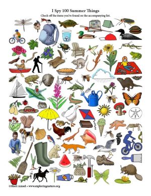 100 Summer Things to Find (Color)
