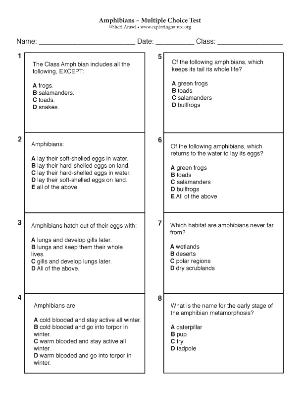 Amphibians – Multiple Choice Test