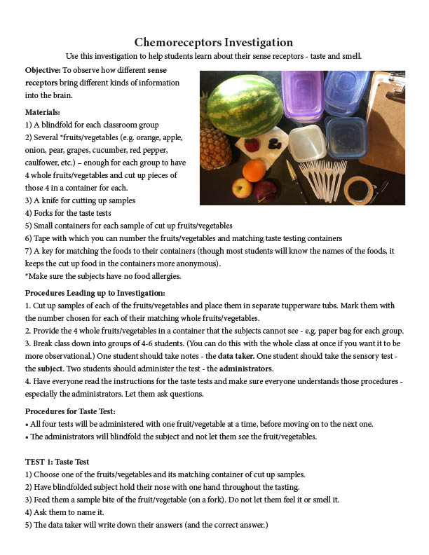 Chemoreceptors - Investigation (6-8 Grade NGSS)