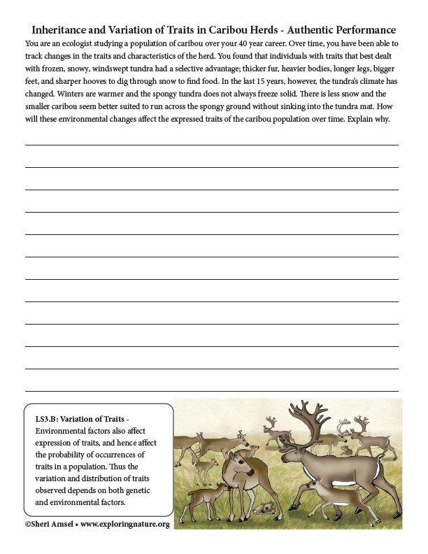 Inheritance and Variation of Traits in Caribou Herds 