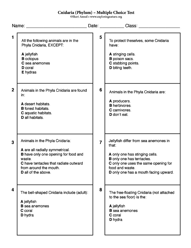 Cnidaria (Phylum) – Multiple Choice