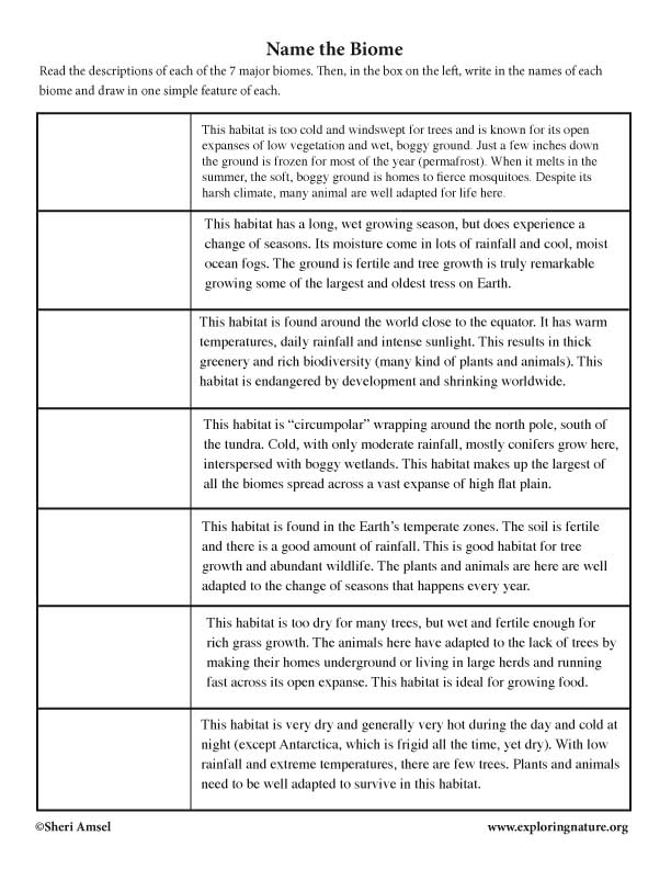 Biomes Summary Matching