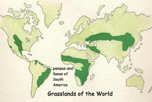 The Pampas of South America