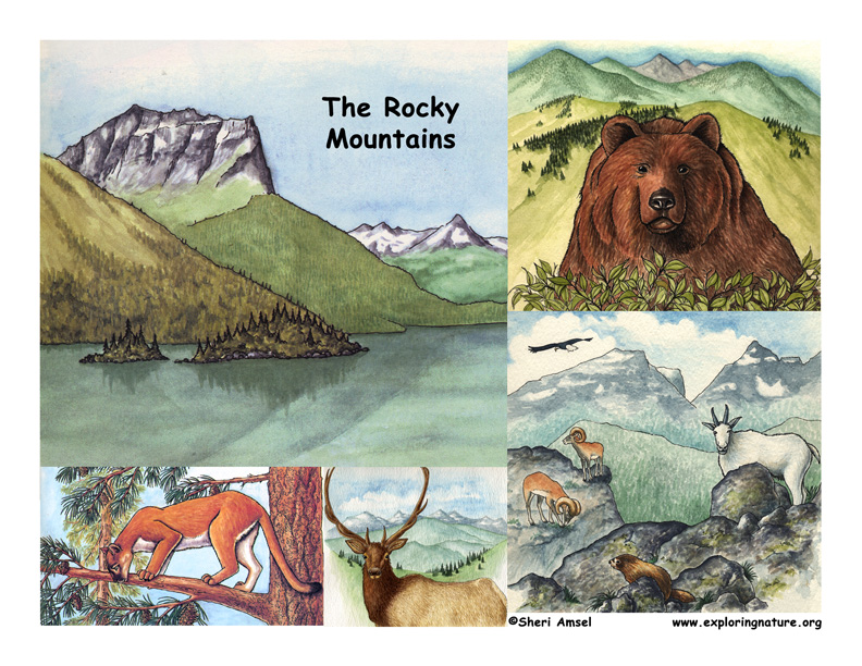 The Rocky Mountains