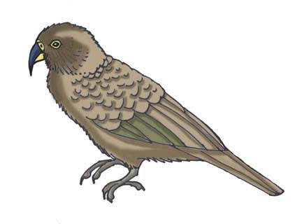 Kea