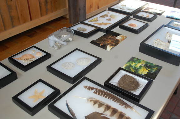 Specimen Collection and Classification