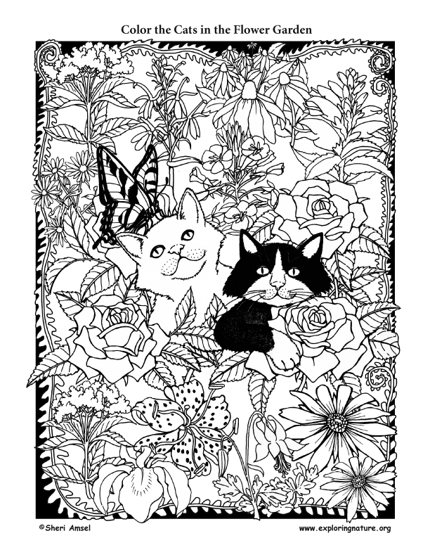 Cats in the Flower Garden Coloring