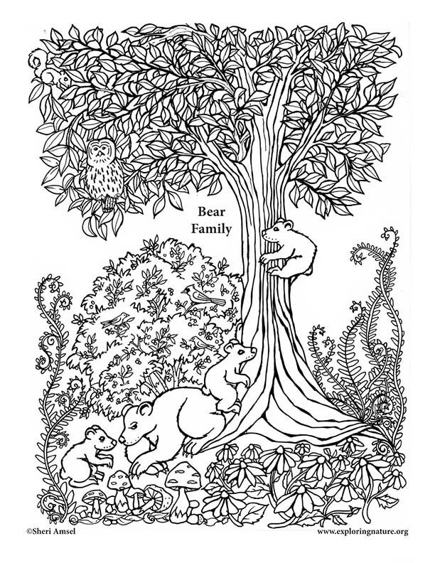 Bear Family Coloring Page