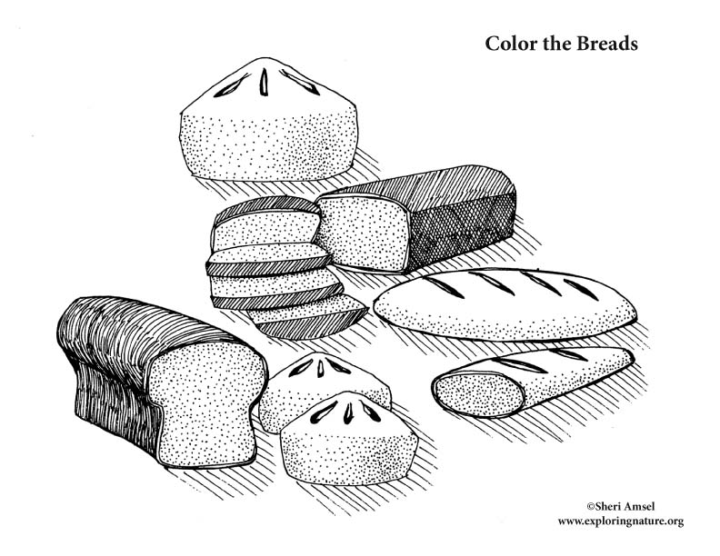 Breads Coloring Page