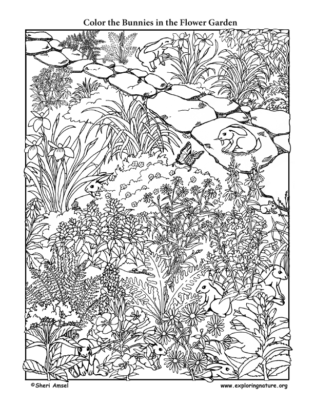 Bunnies in the Flower Garden - Coloring Page
