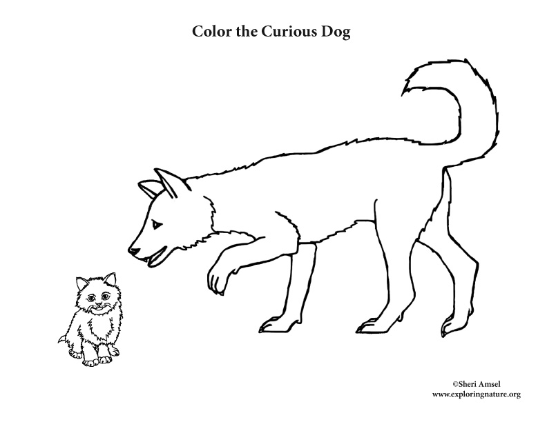 Dog Sniffling Kitten Coloring Page