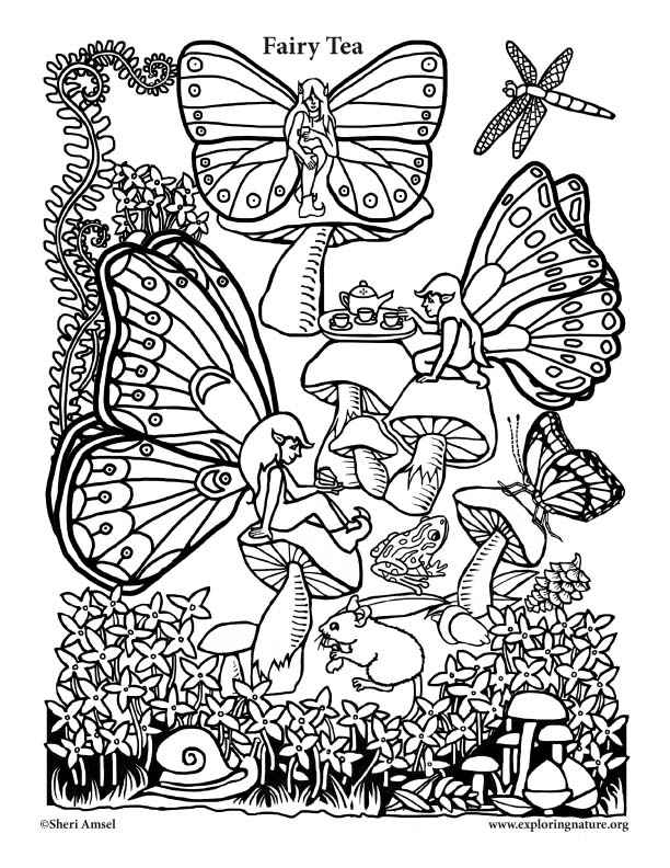 Fairy Tea for Three Coloring Page