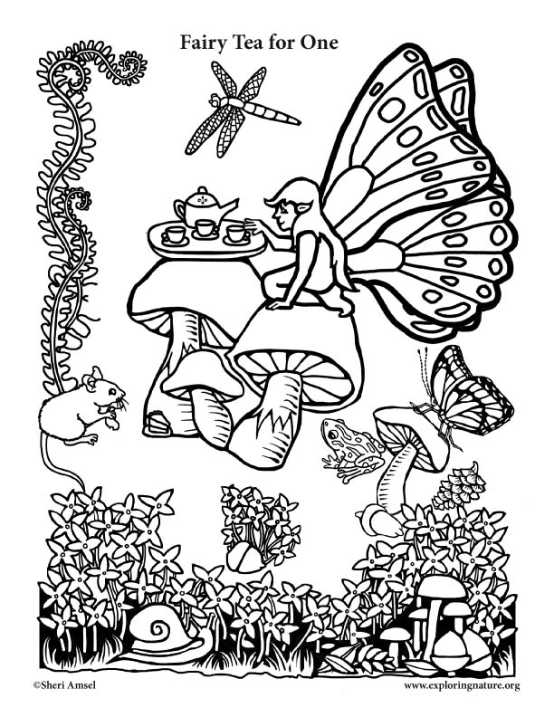 Fairy Tea for One Coloring Page
