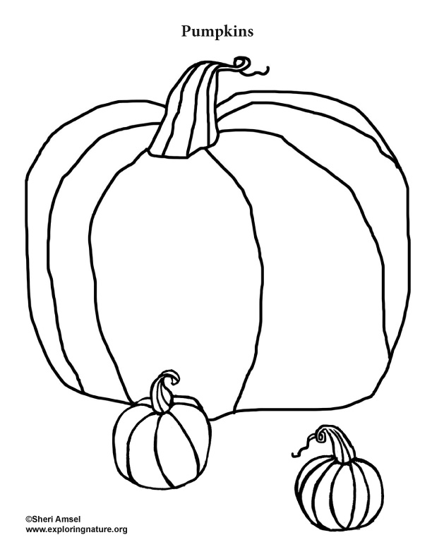 pumpkins coloring page