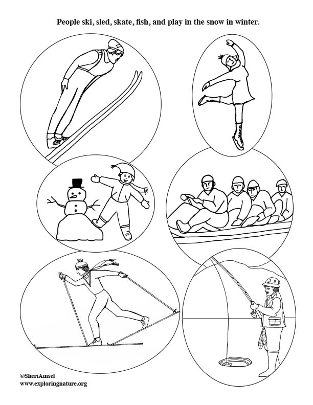 Winter Activities for PEOPLE!