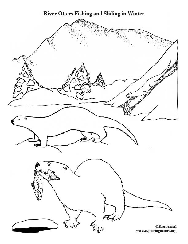 River Otters Fishing and Sliding in Winter Coloring Page