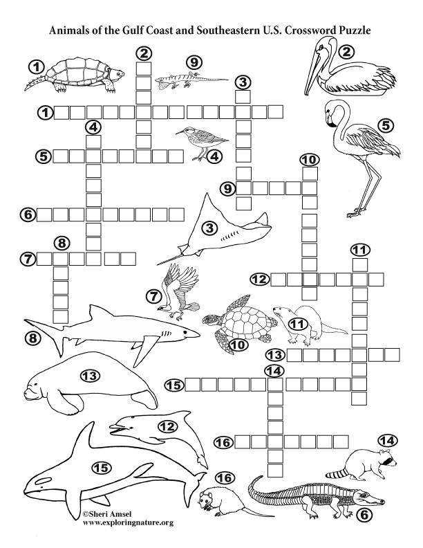 Animals of the Gulf Coast and Southeastern U.S. - Crossword Puzzle