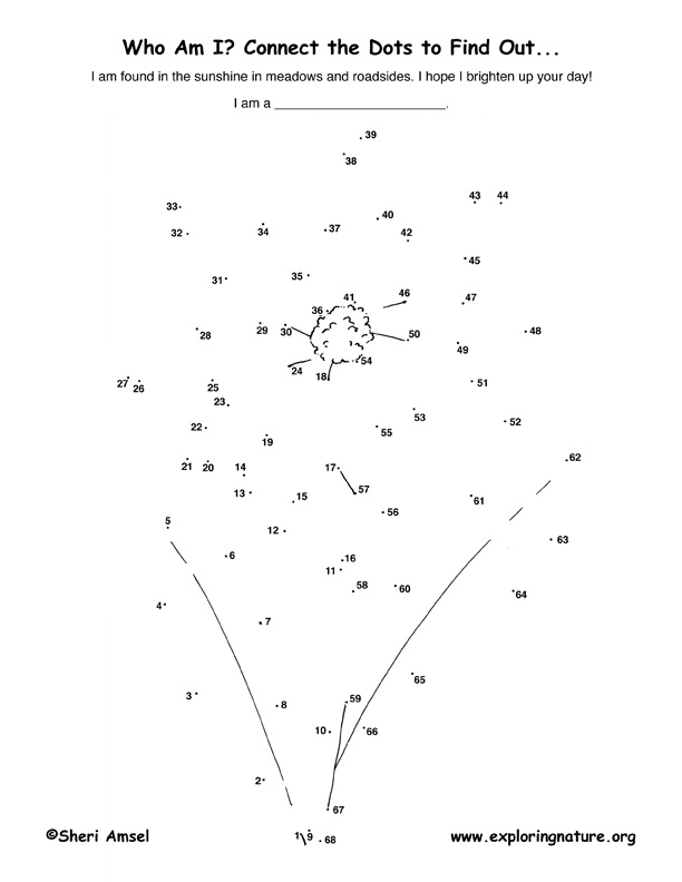 Daisy Connect-the-Dots Activity