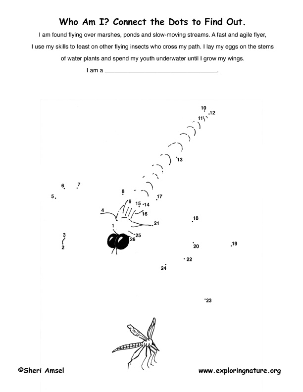 Dragonfly Connect-the-Dots Activity