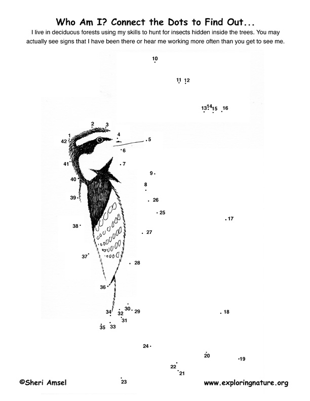 Hairy Woodpecker Connect-the-Dots Activity