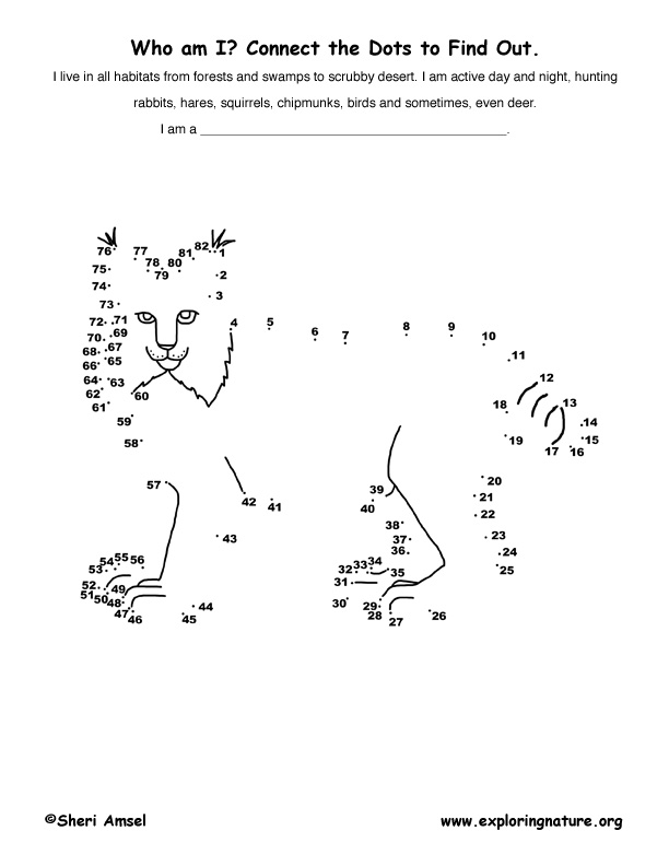 Bobcat Connect-the-Dots Activity
