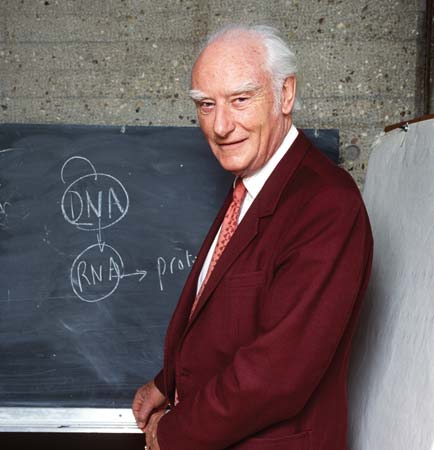 Dr. Francis Crick