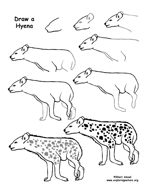 Hyena Drawing Page