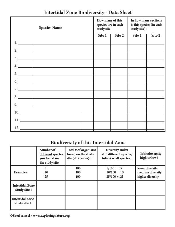 tide pool study data sheet