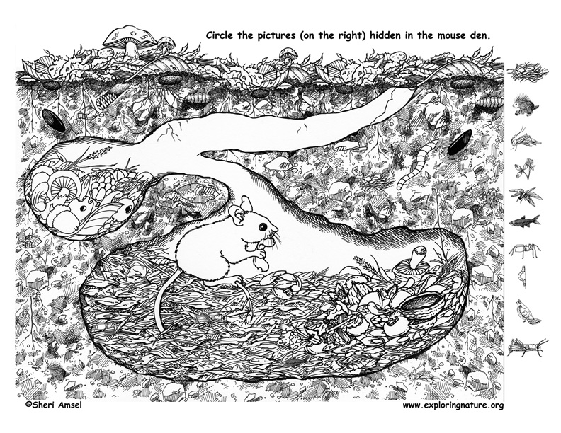 Mouse Den - Hidden Pictures