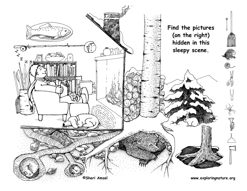 Hibernation - Hidden Picture