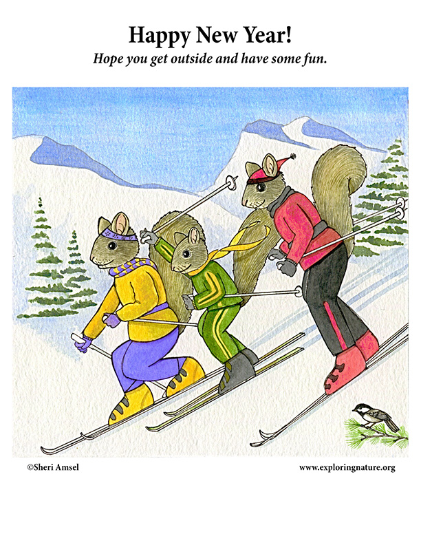 Happy New Year - Squirrels Skiing