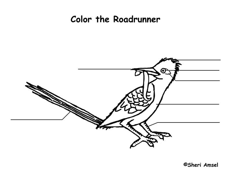 Roadrunner Labeling Page