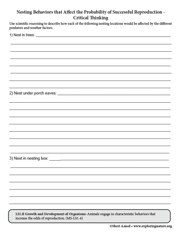 Nesting Behaviors that Affect the Probability of Successful Reproduction worksheet
