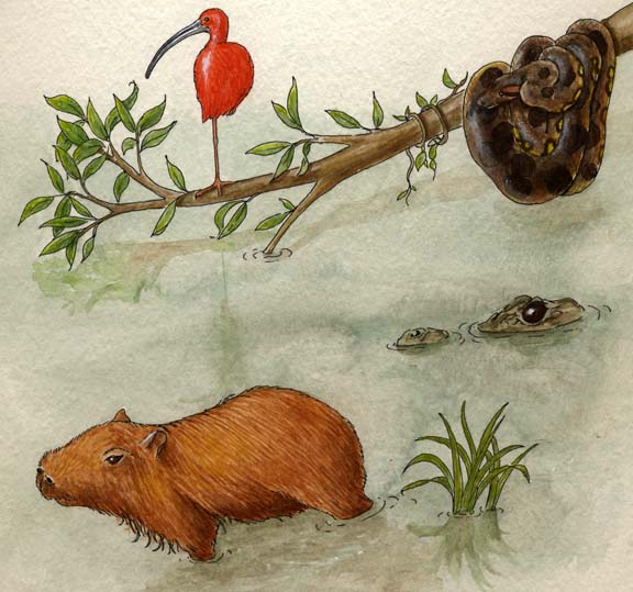 Capybara
