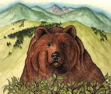 Bear (Grizzly)