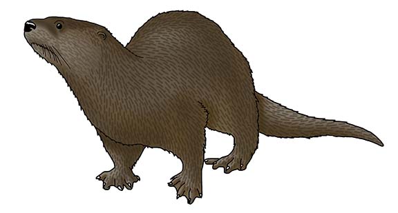 Otter (River)