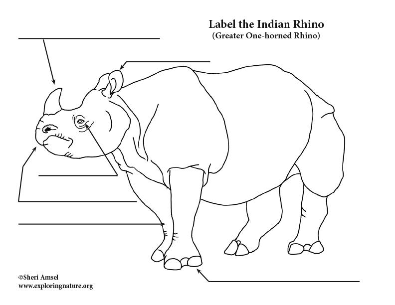 Rhino (Indian) Labeling Page