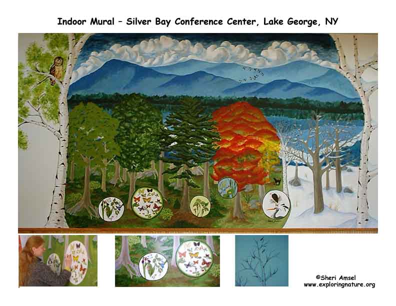 Large Wall Murals - Conference Center Cafeteria