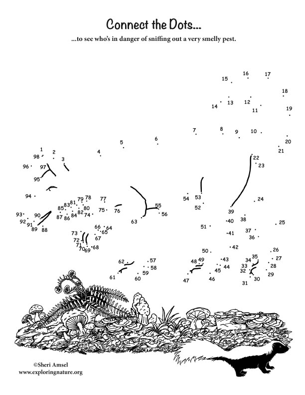 Confronting a Skunk Connect-the-Dots Activity